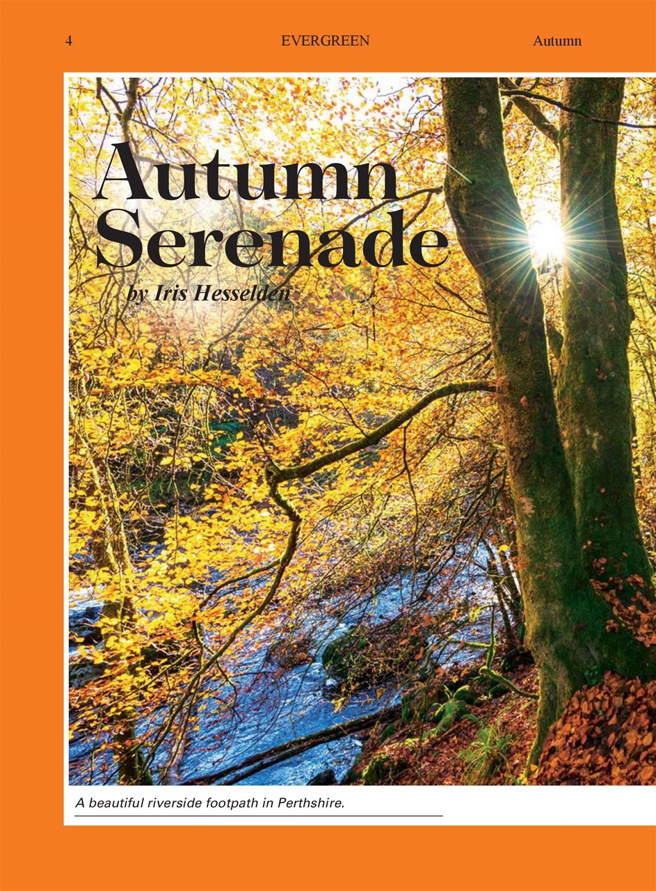 Evergreen Preview Pages