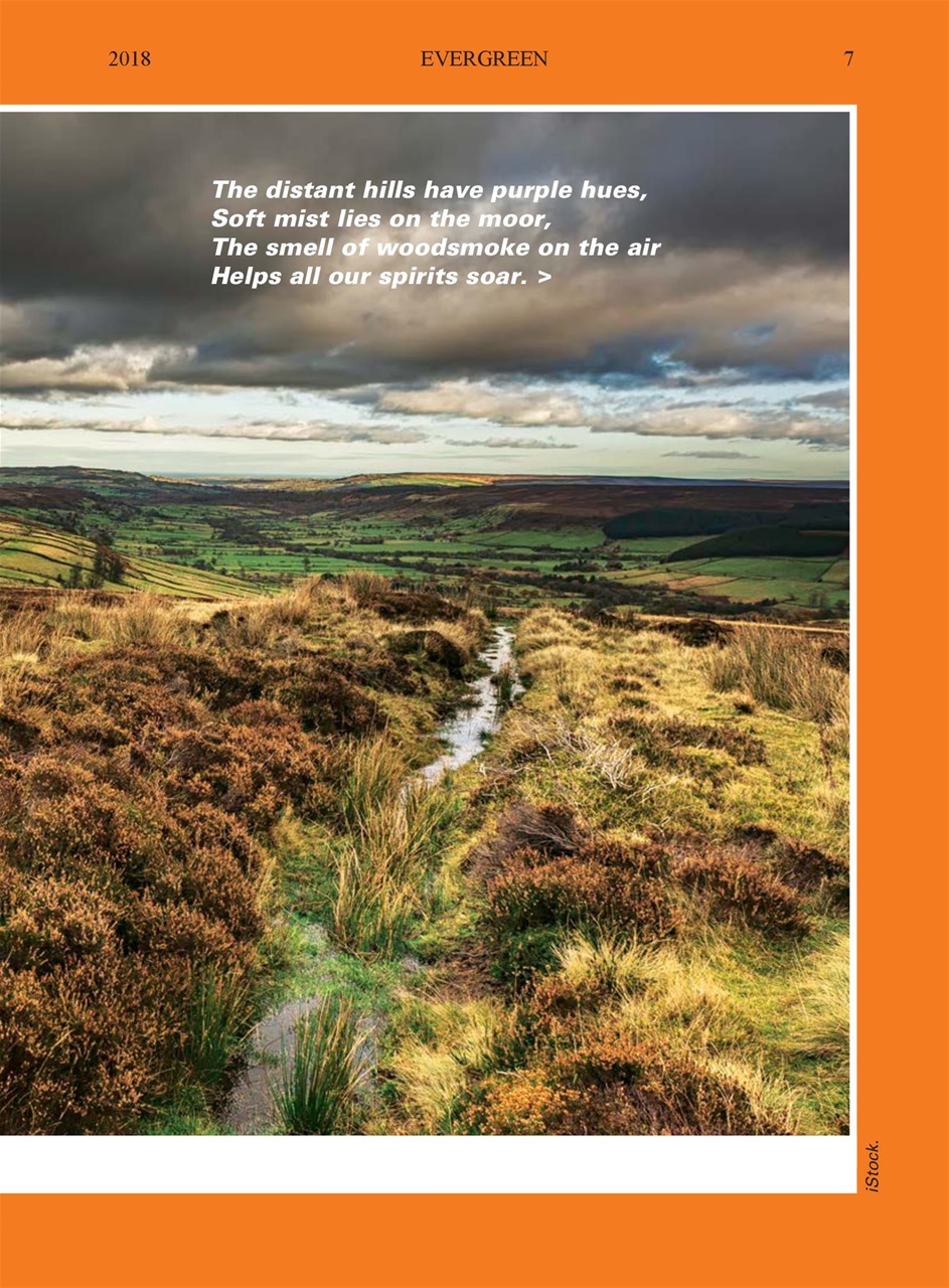 Evergreen Preview Pages