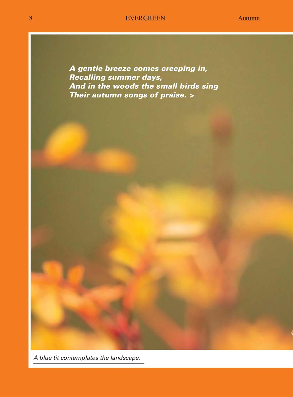 Evergreen Preview Pages