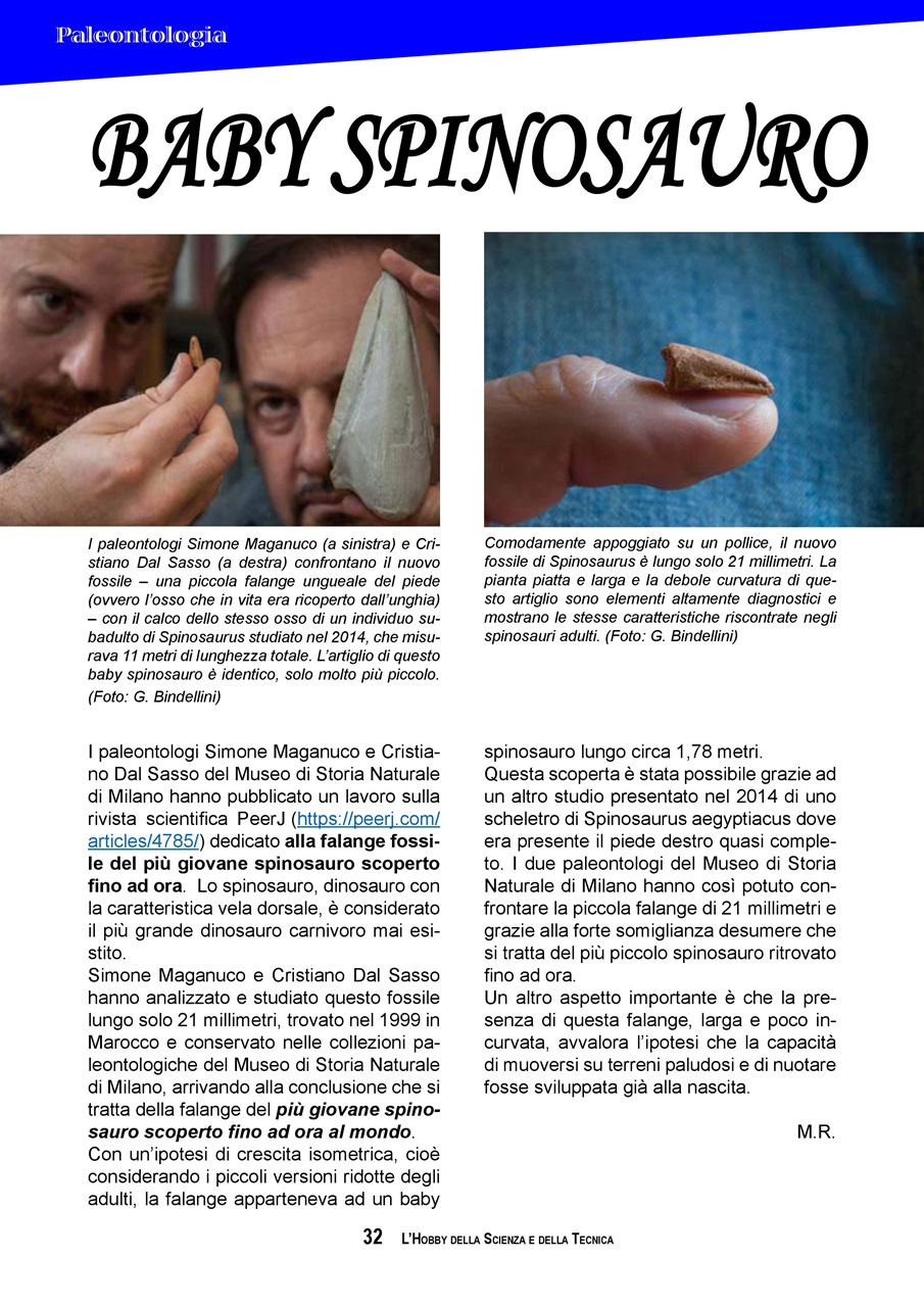 L'HOBBY DELLA SCIENZA E DELLA TECNICA Preview Pages