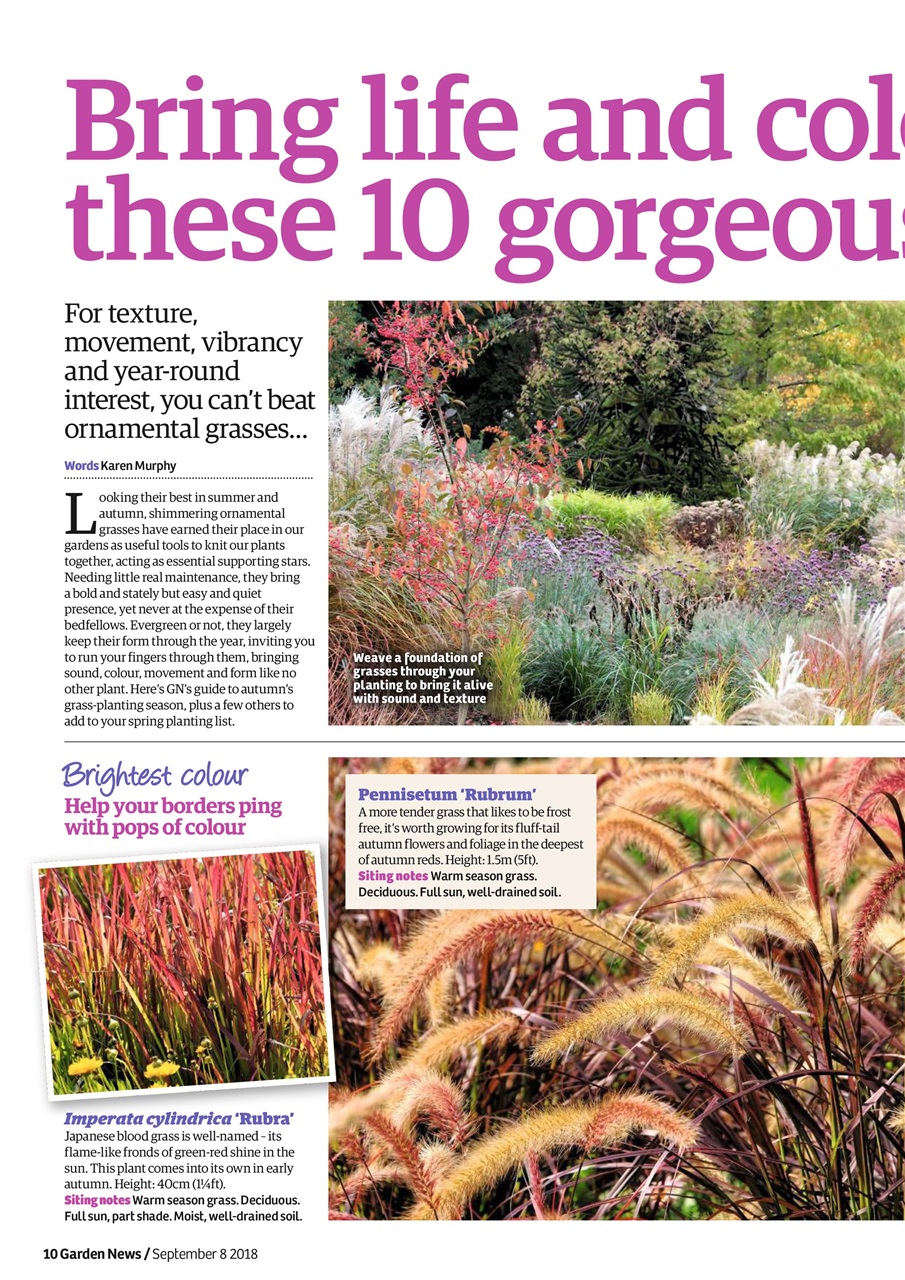 Garden News Preview Pages