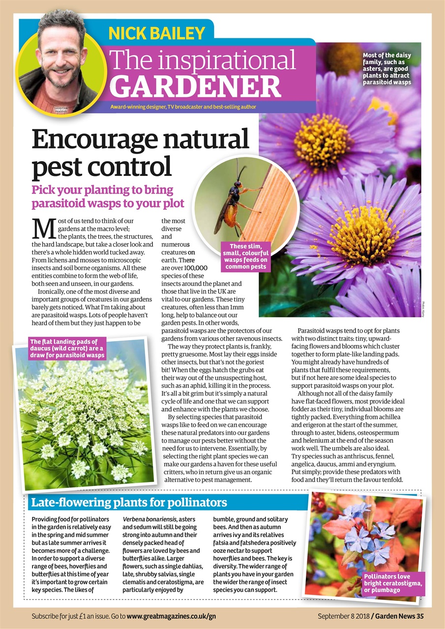 Garden News Preview Pages