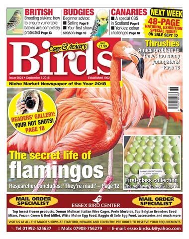 Cage & Aviary Birds issue 5th September 2018