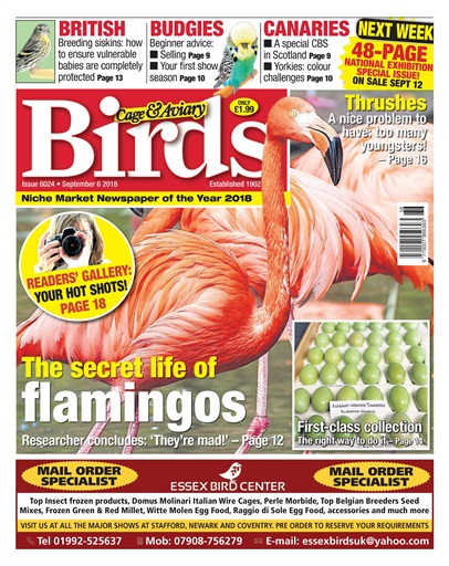 Cage & Aviary Birds issue 