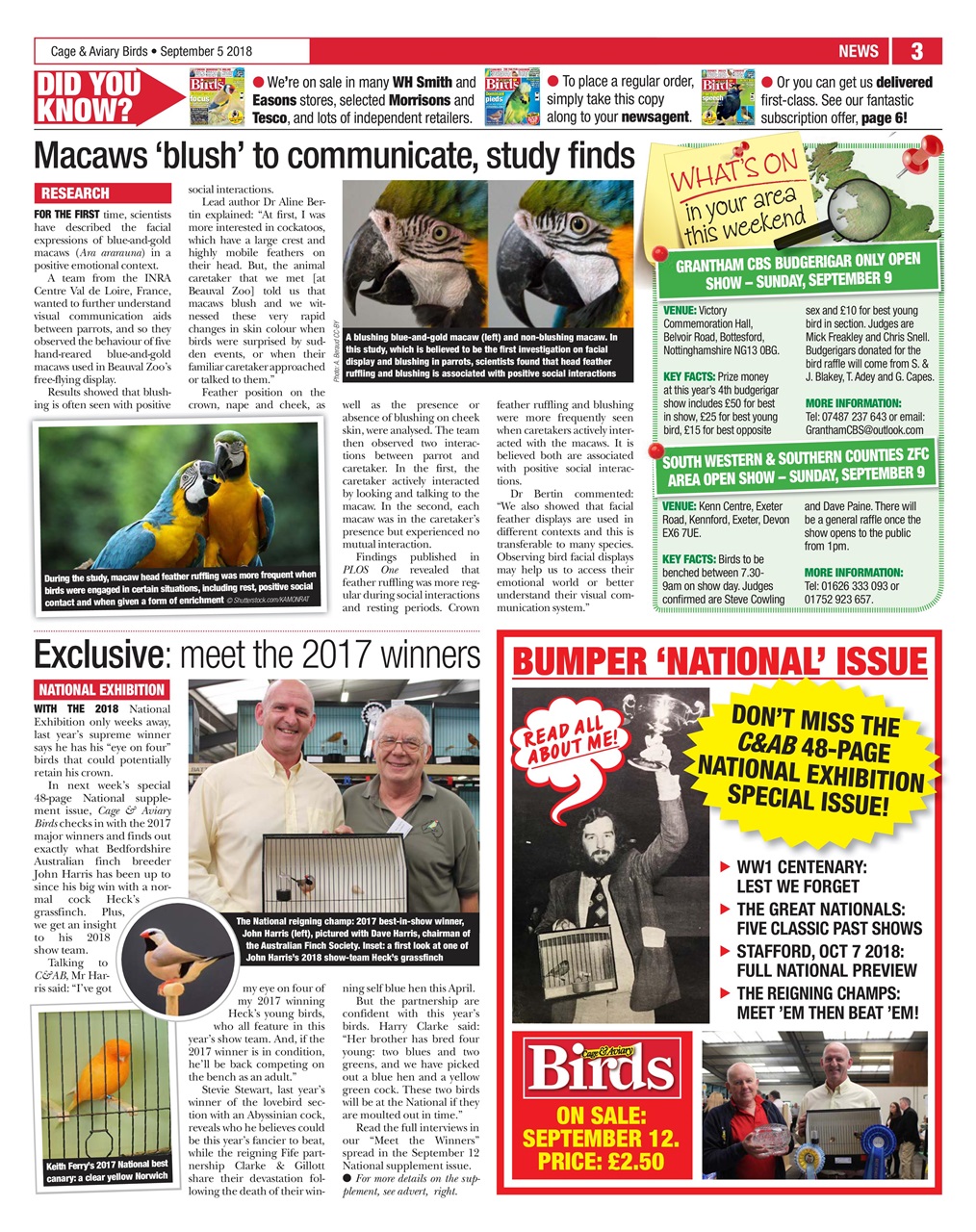 Cage & Aviary Birds Preview Pages