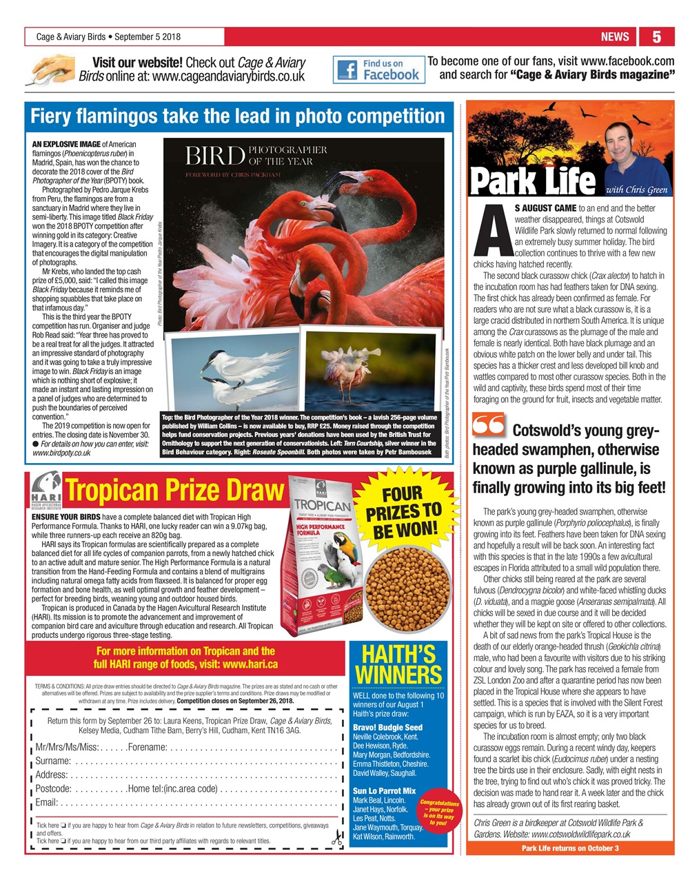 Cage & Aviary Birds Preview Pages