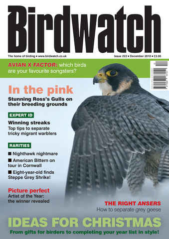 Birdwatch Magazine issue December 2010