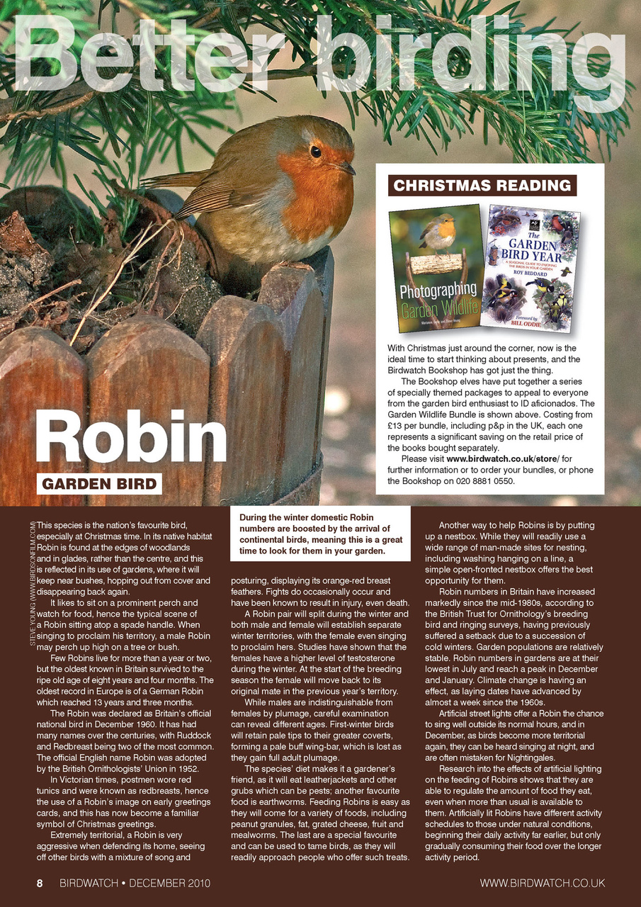Birdwatch Magazine Preview Pages