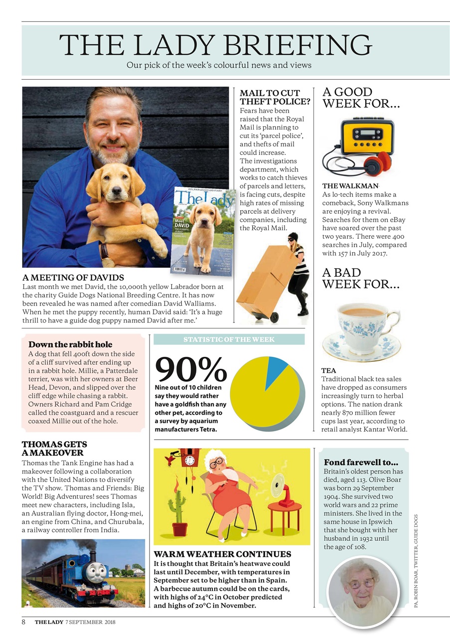 The Lady Preview Pages