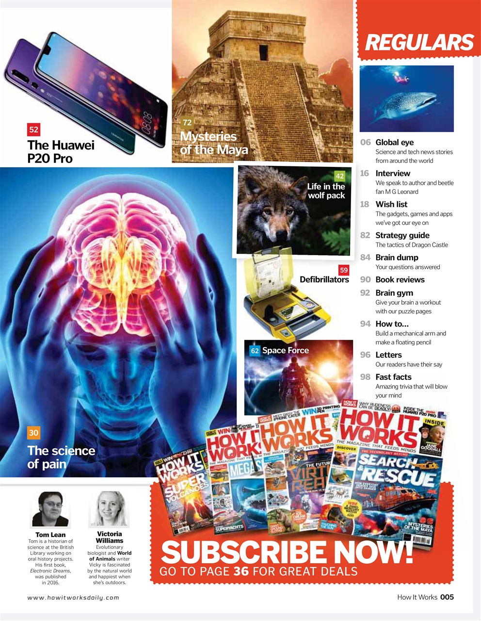 How It Works Preview Pages