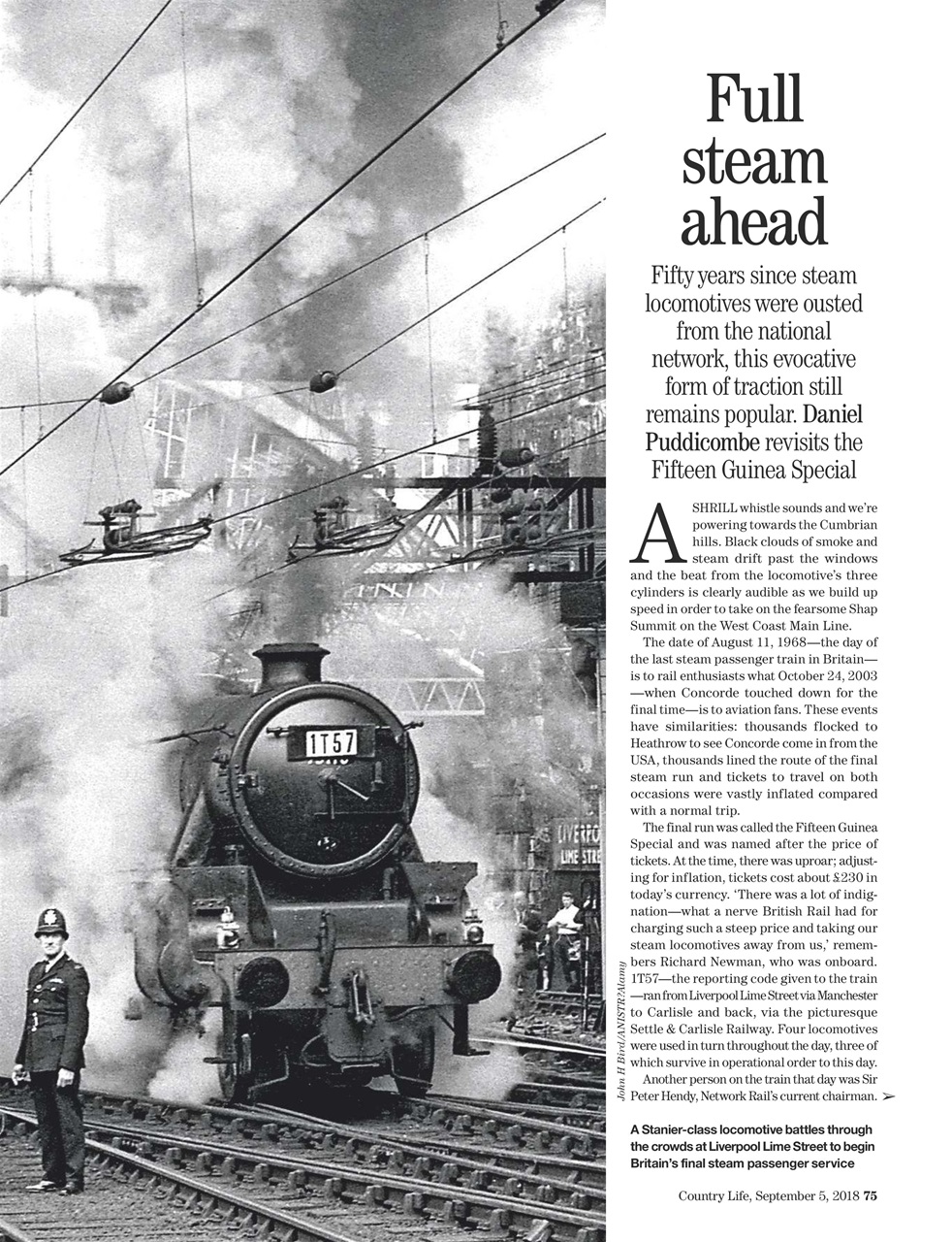 Country Life Preview Pages