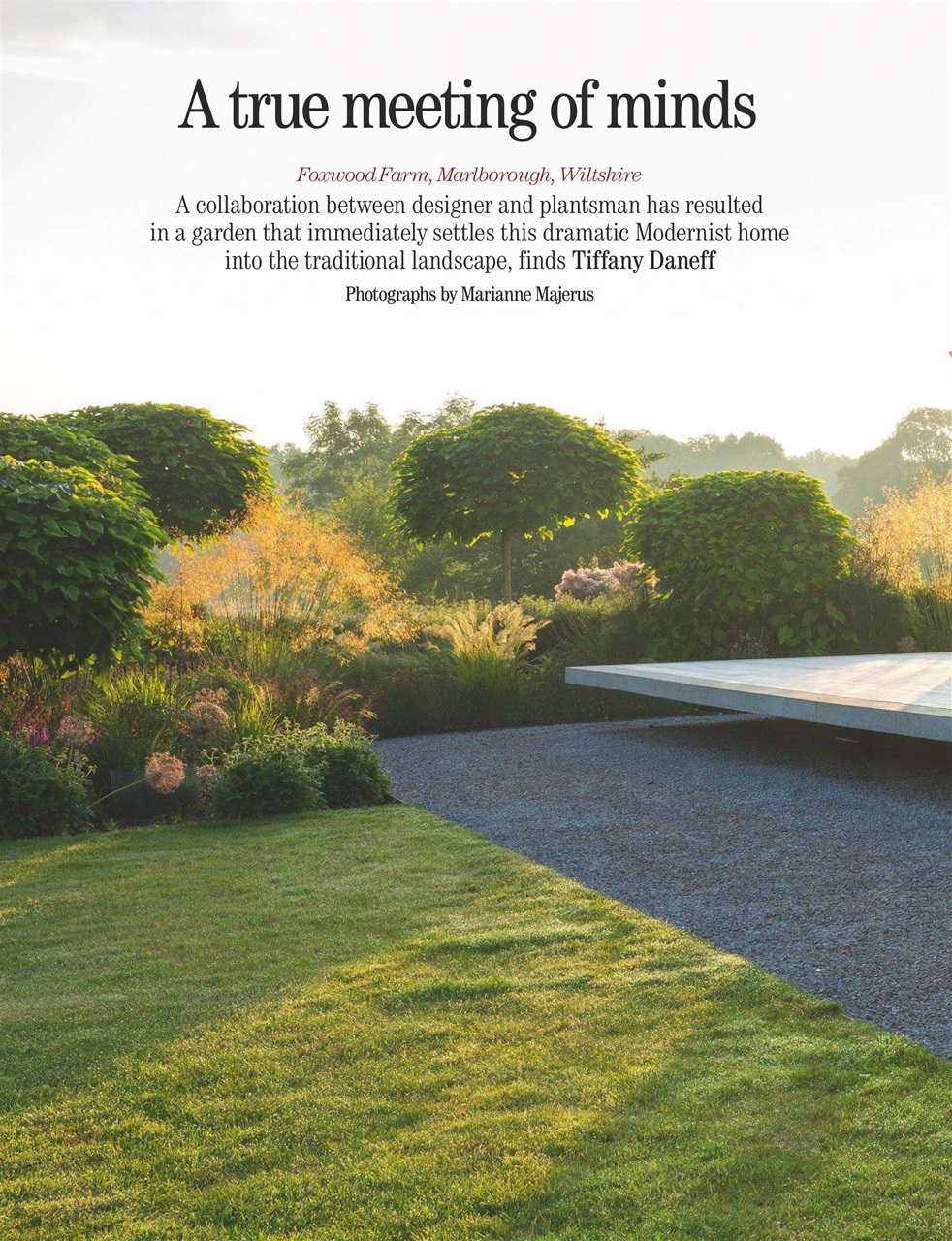 Country Life Preview Pages