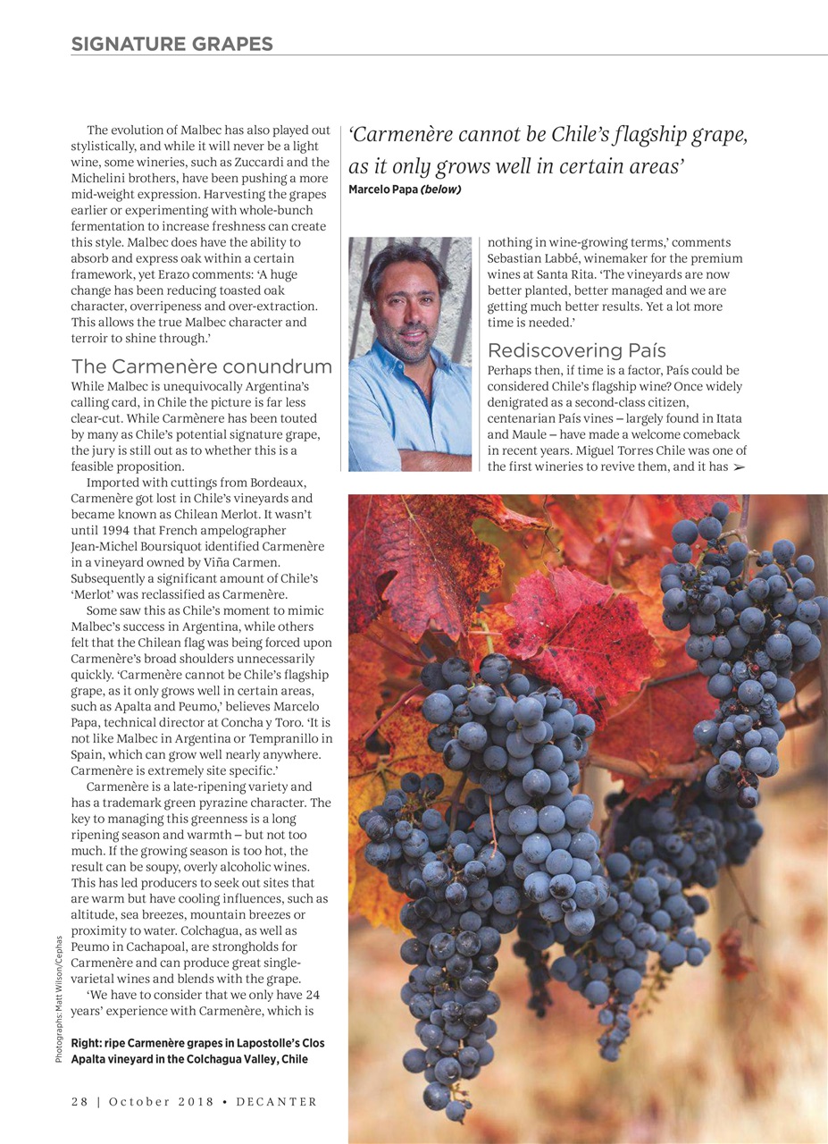 Decanter Preview Pages