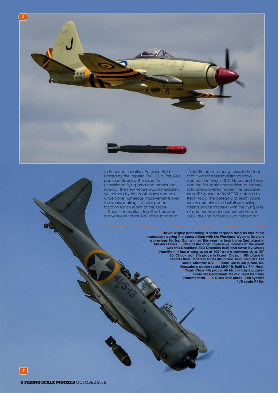 Radio Control Model Flyer Preview Pages