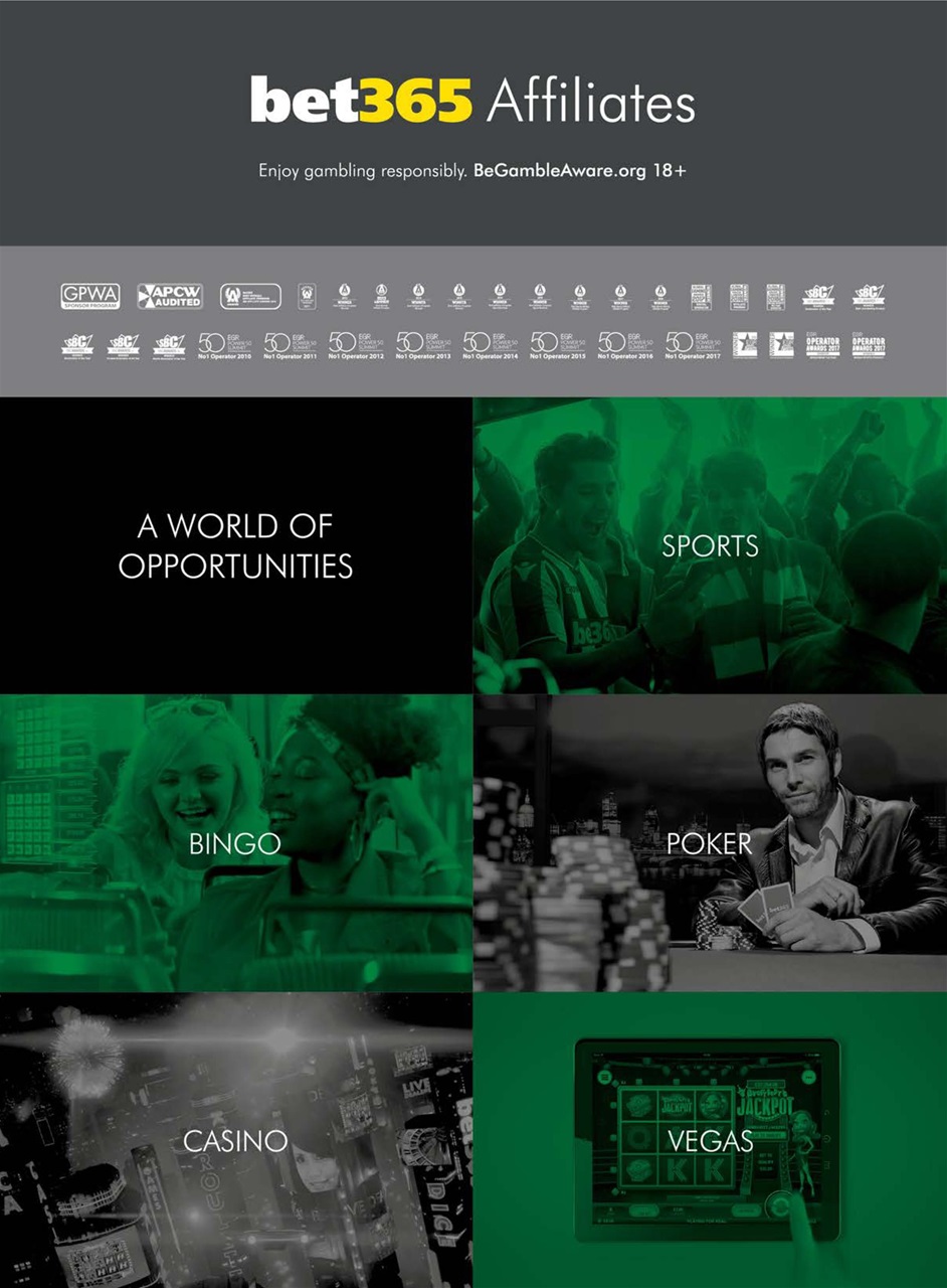 Trafficology Preview Pages