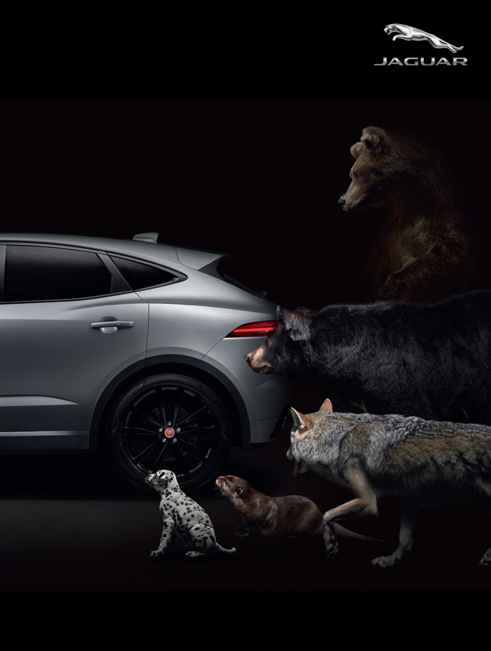 Attitude Preview Pages