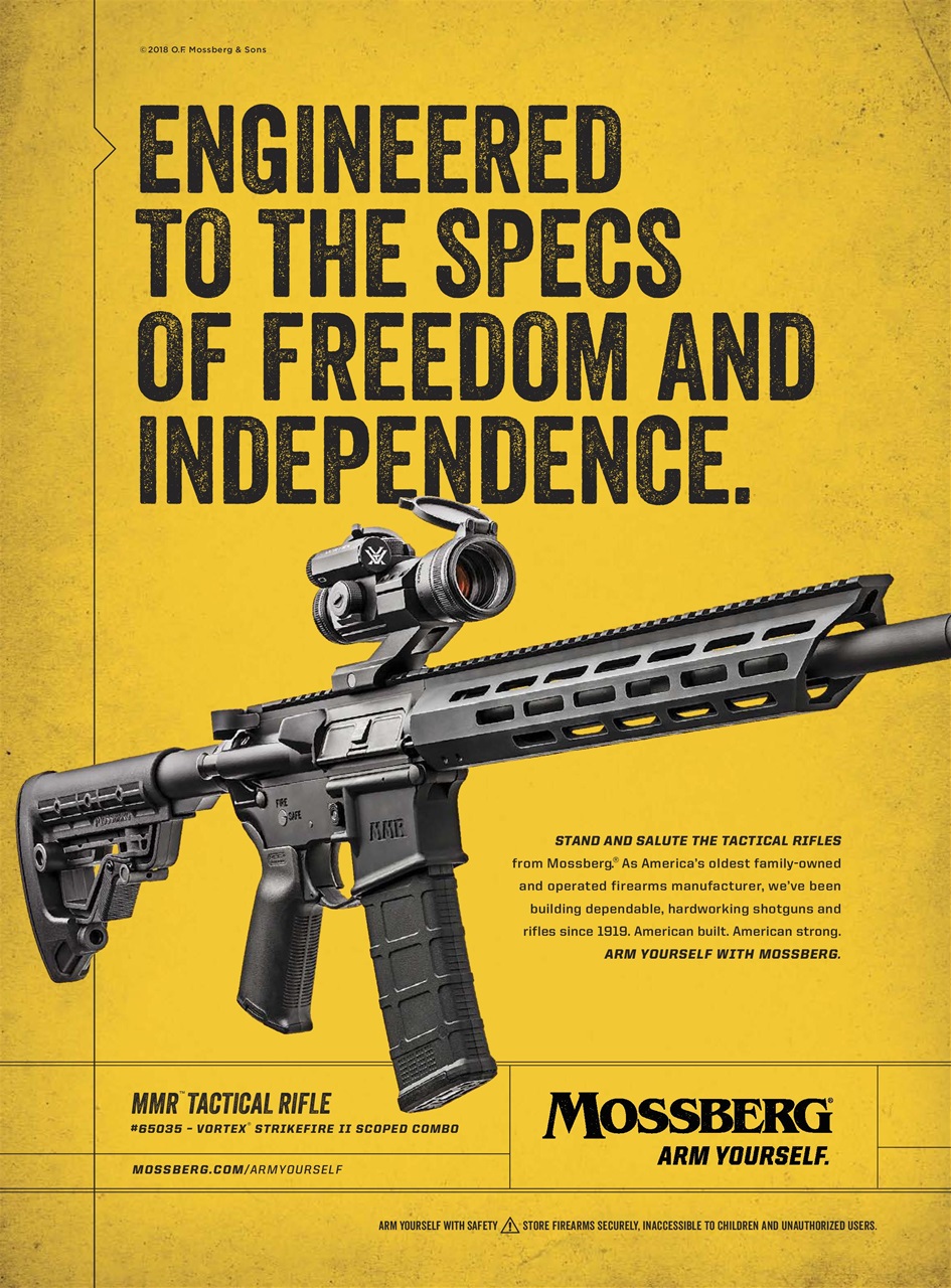 Gun World Preview Pages