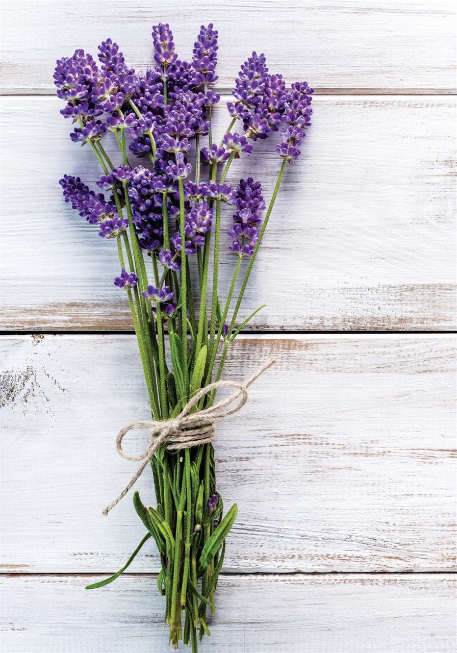 My Herbs Magazine Preview Pages