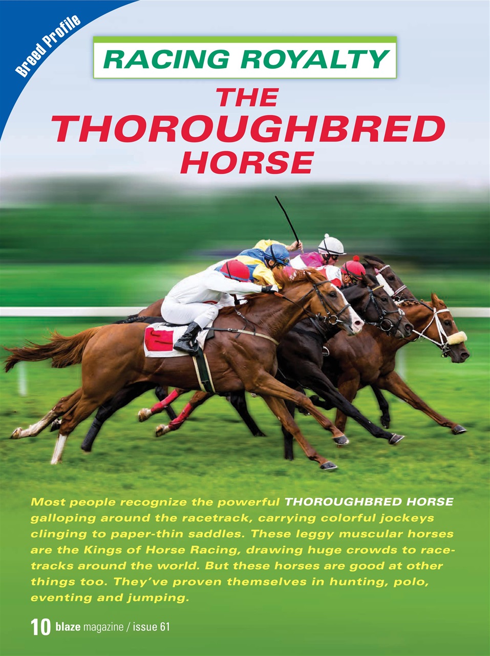 Blaze Magazine For Horse Crazy Kids Preview Pages