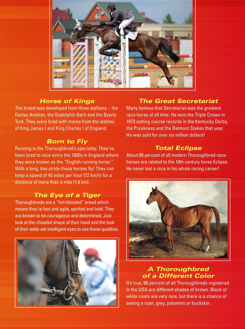 Blaze Magazine For Horse Crazy Kids Preview Pages