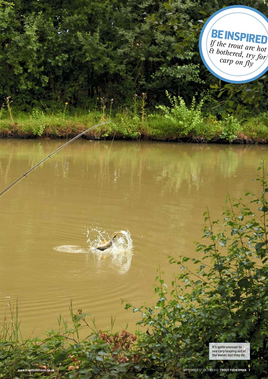 Trout Fisherman Preview Pages