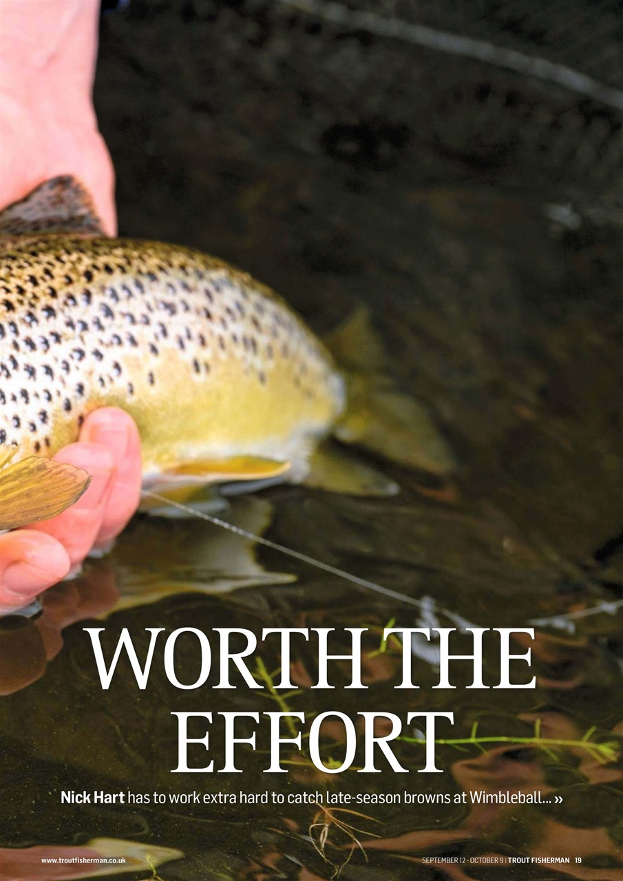 Trout Fisherman Preview Pages