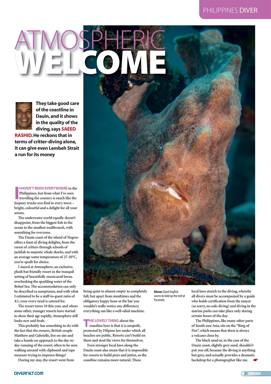 DIVER Preview Pages