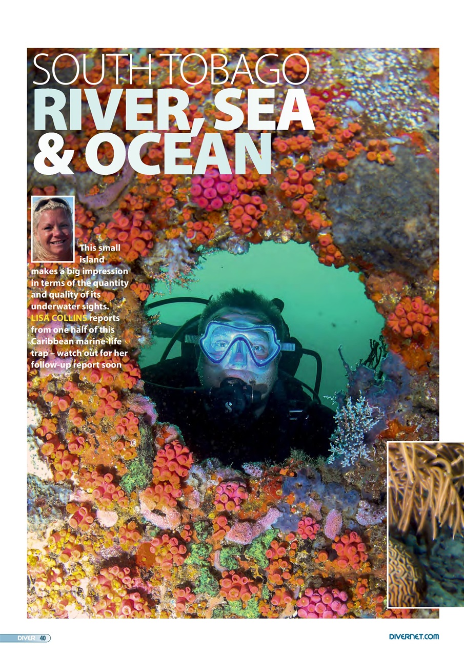 DIVER Preview Pages