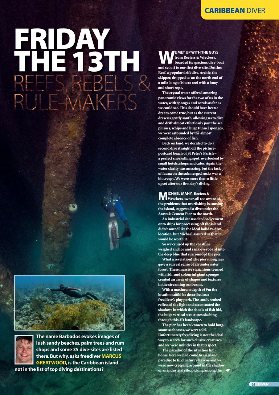 DIVER Preview Pages