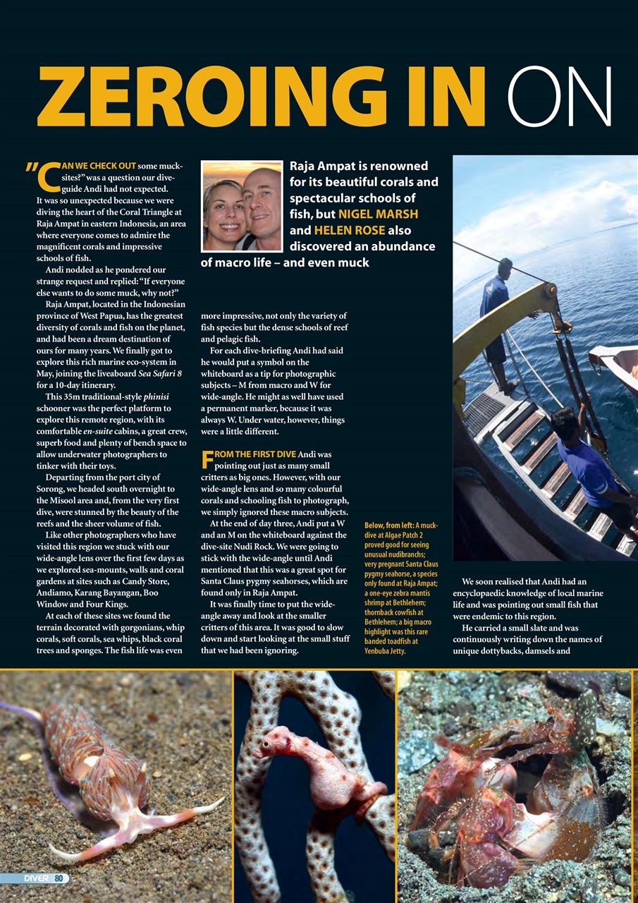 DIVER Preview Pages