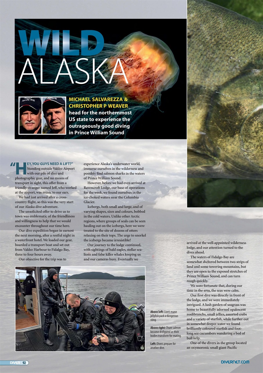 DIVER Preview Pages