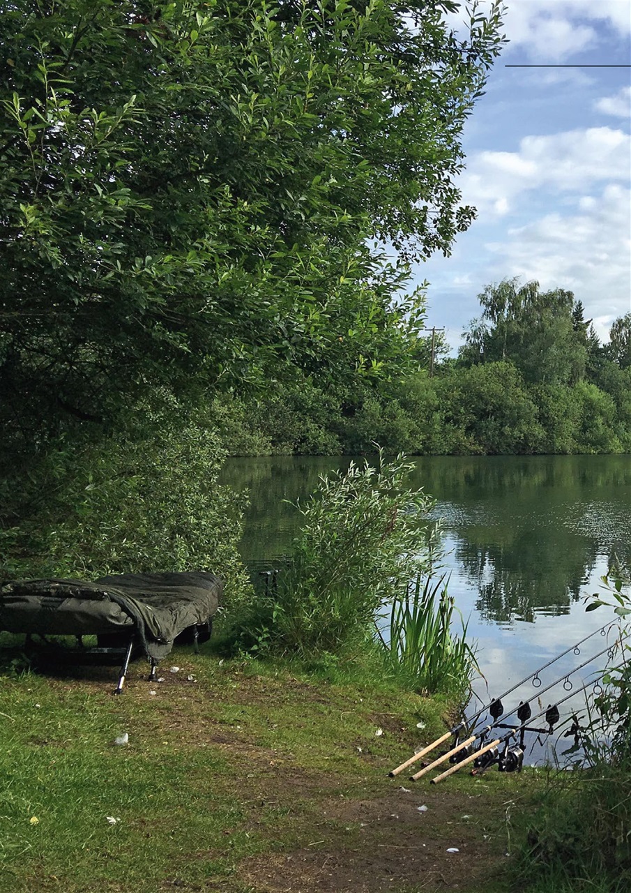 Carpworld Preview Pages
