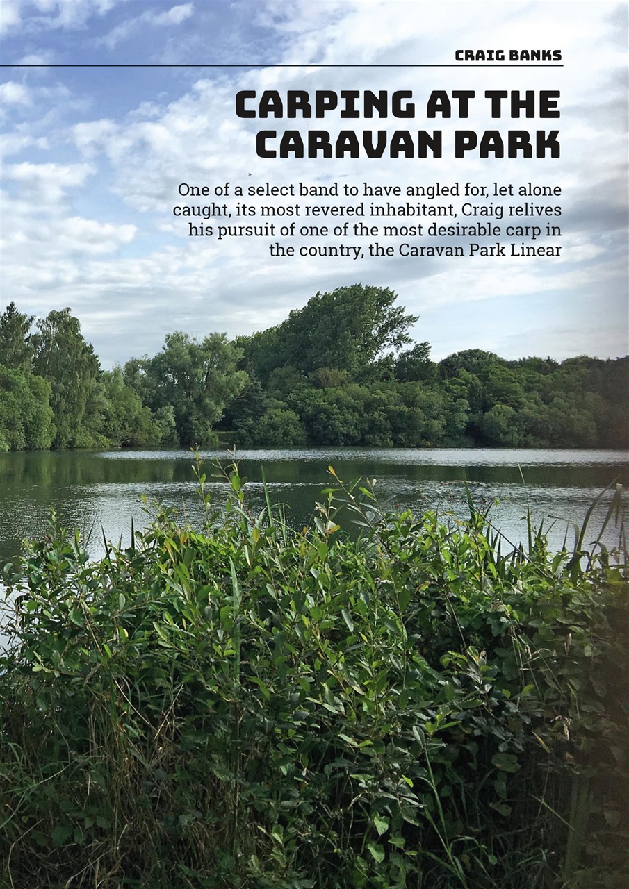 Carpworld Preview Pages