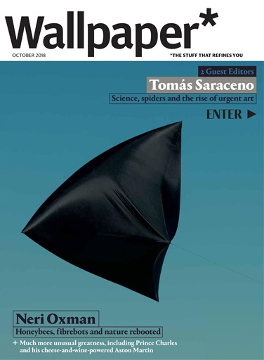 Wallpaper* issue 