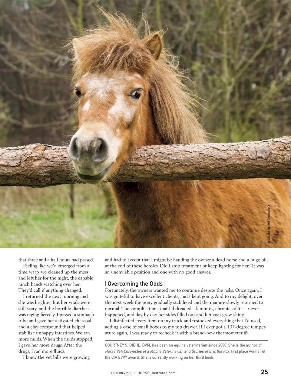 Horse Illustrated Magazine Preview Pages