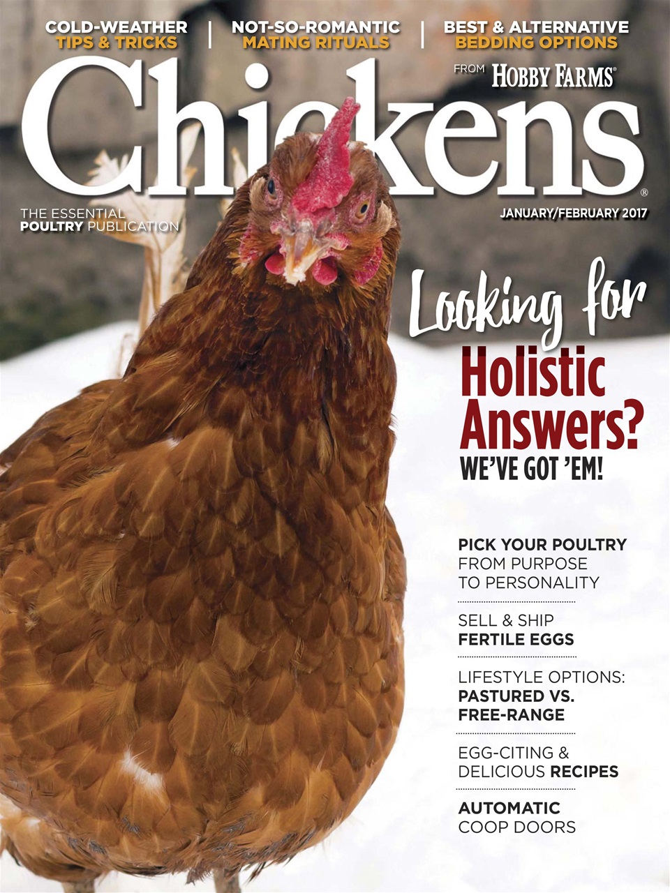 Chickens Magazine Preview Pages
