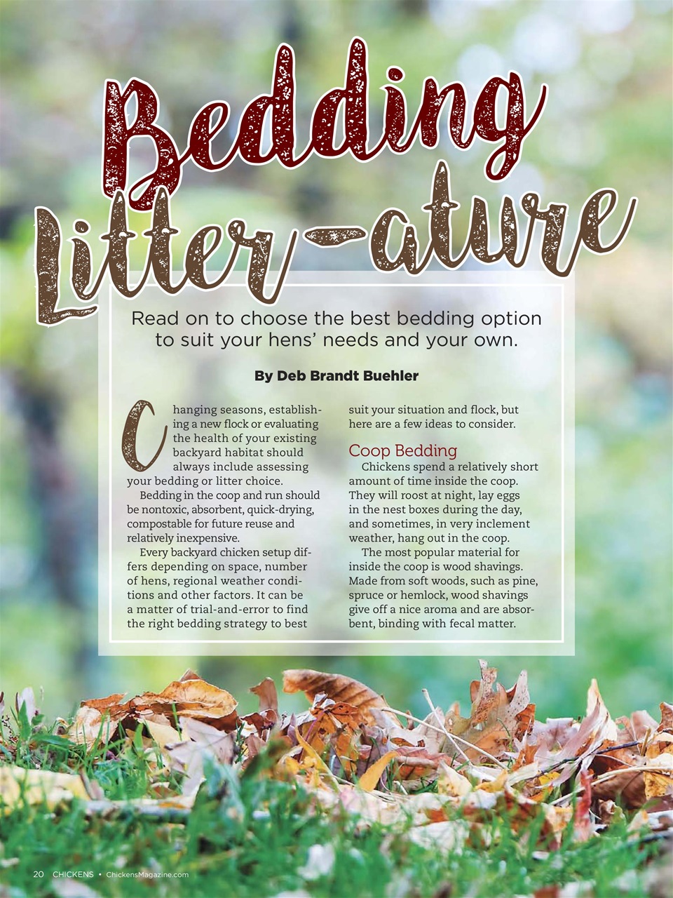 Chickens Magazine Preview Pages