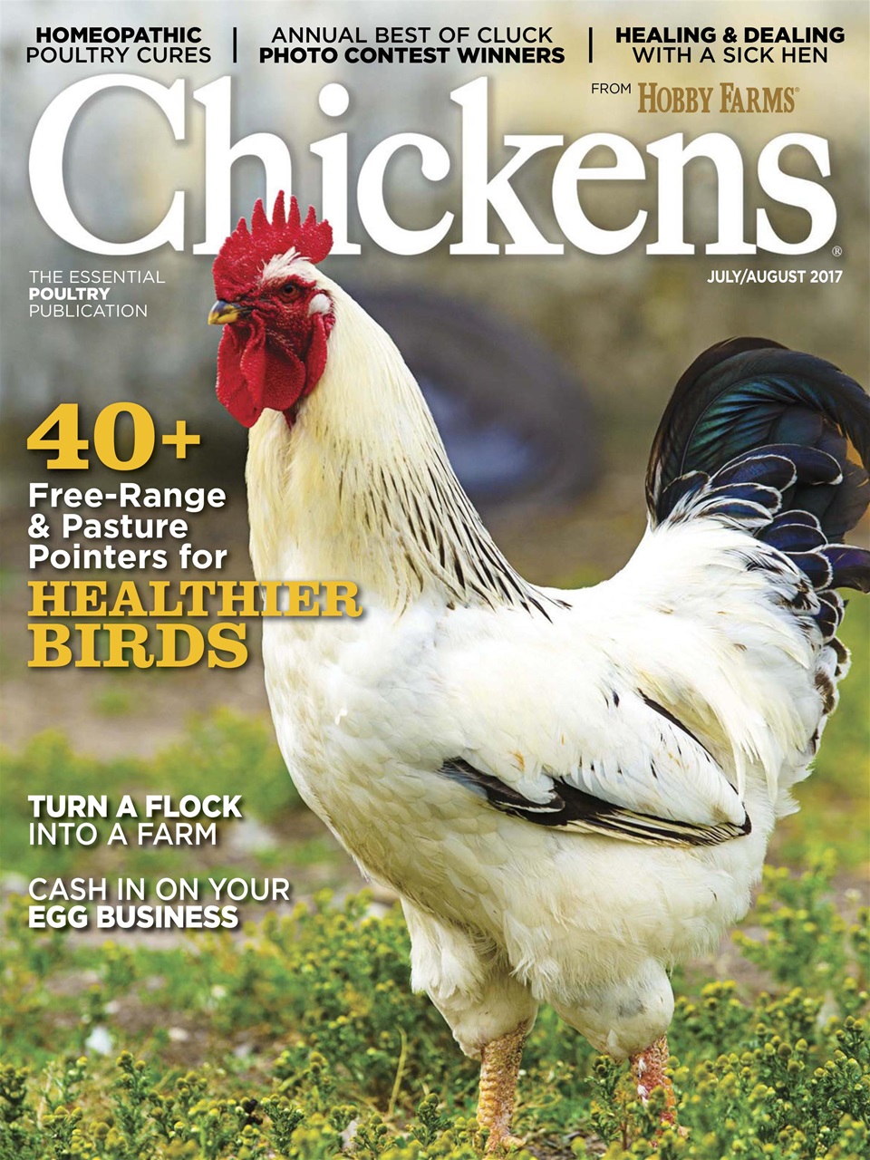 Chickens Magazine Preview Pages