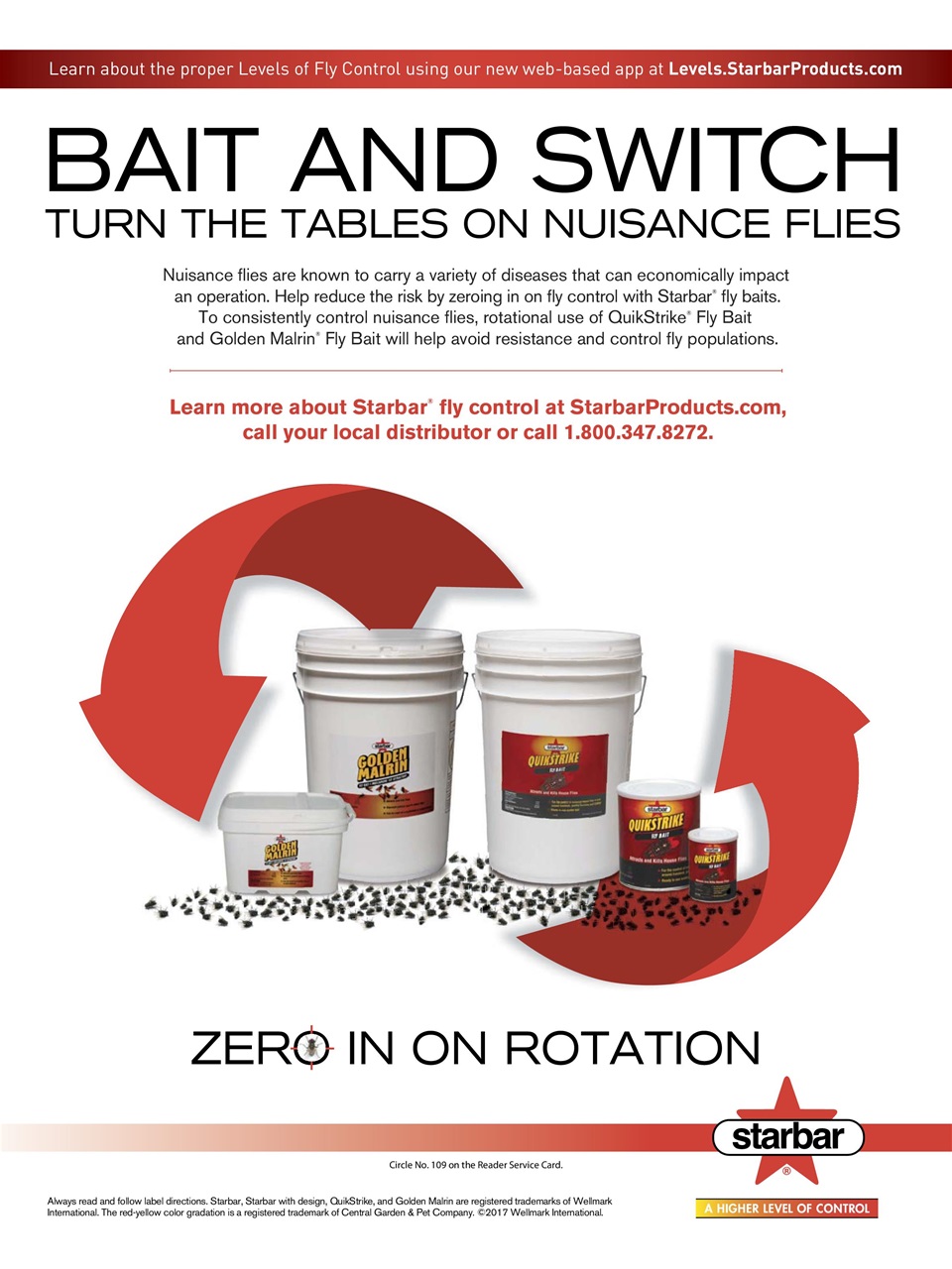 Chickens Magazine Preview Pages