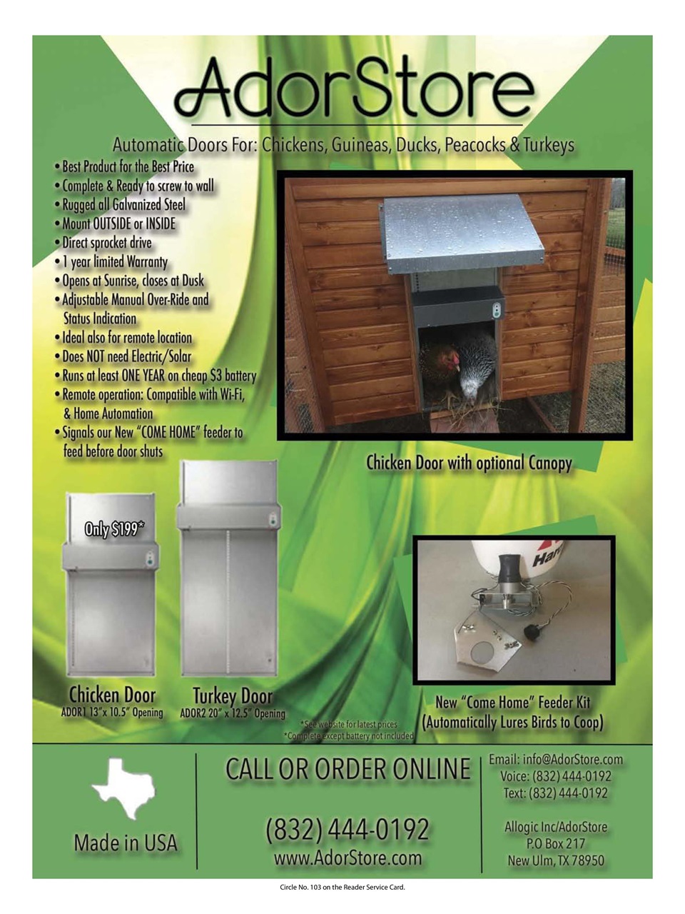 Chickens Magazine Preview Pages