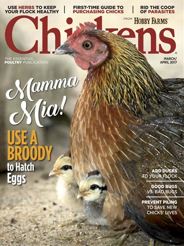 Chickens Magazine issue March/April17