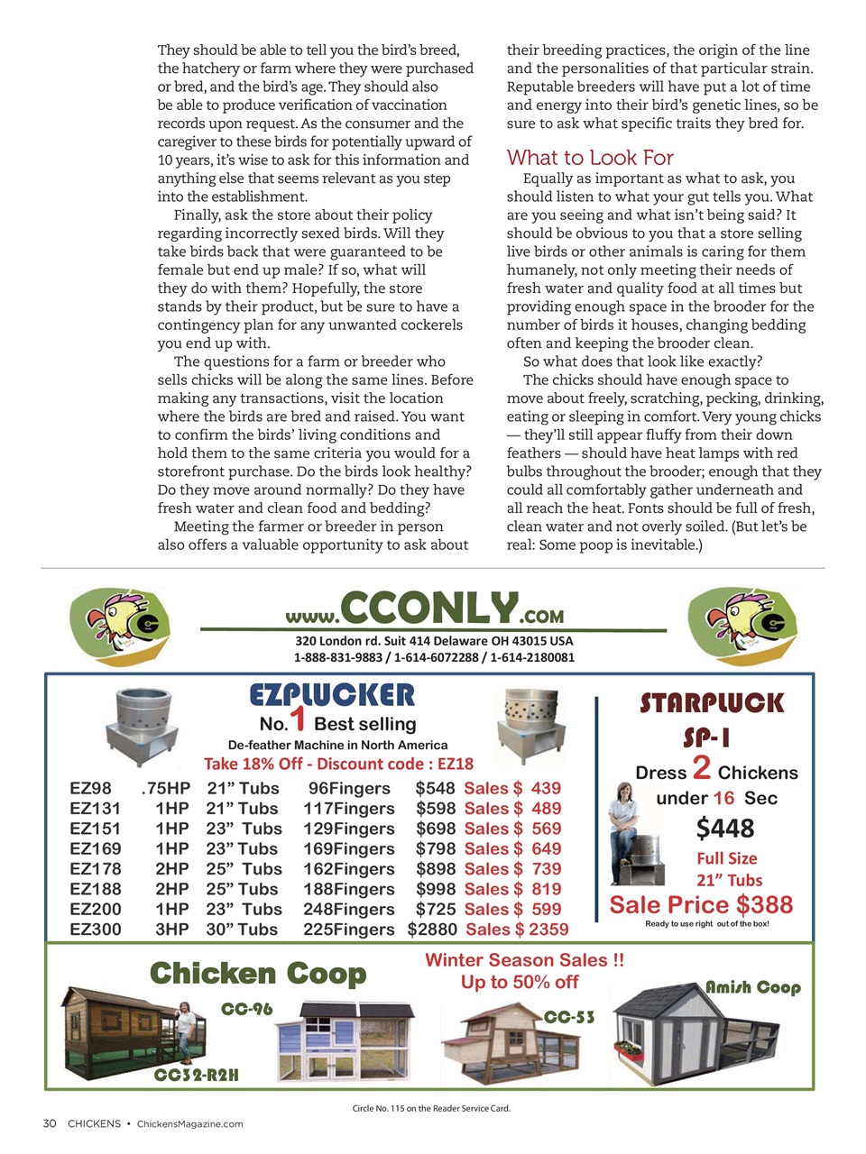 Chickens Magazine Preview Pages