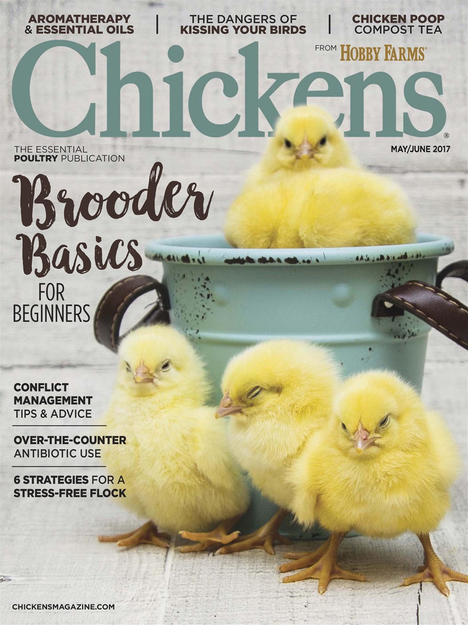 Chickens Magazine Preview Pages