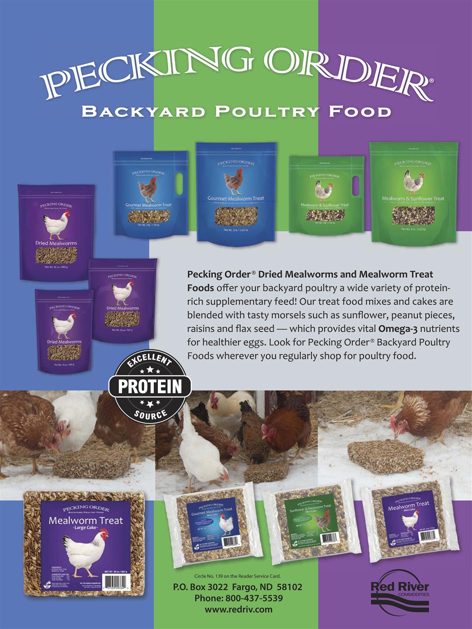 Chickens Magazine Preview Pages