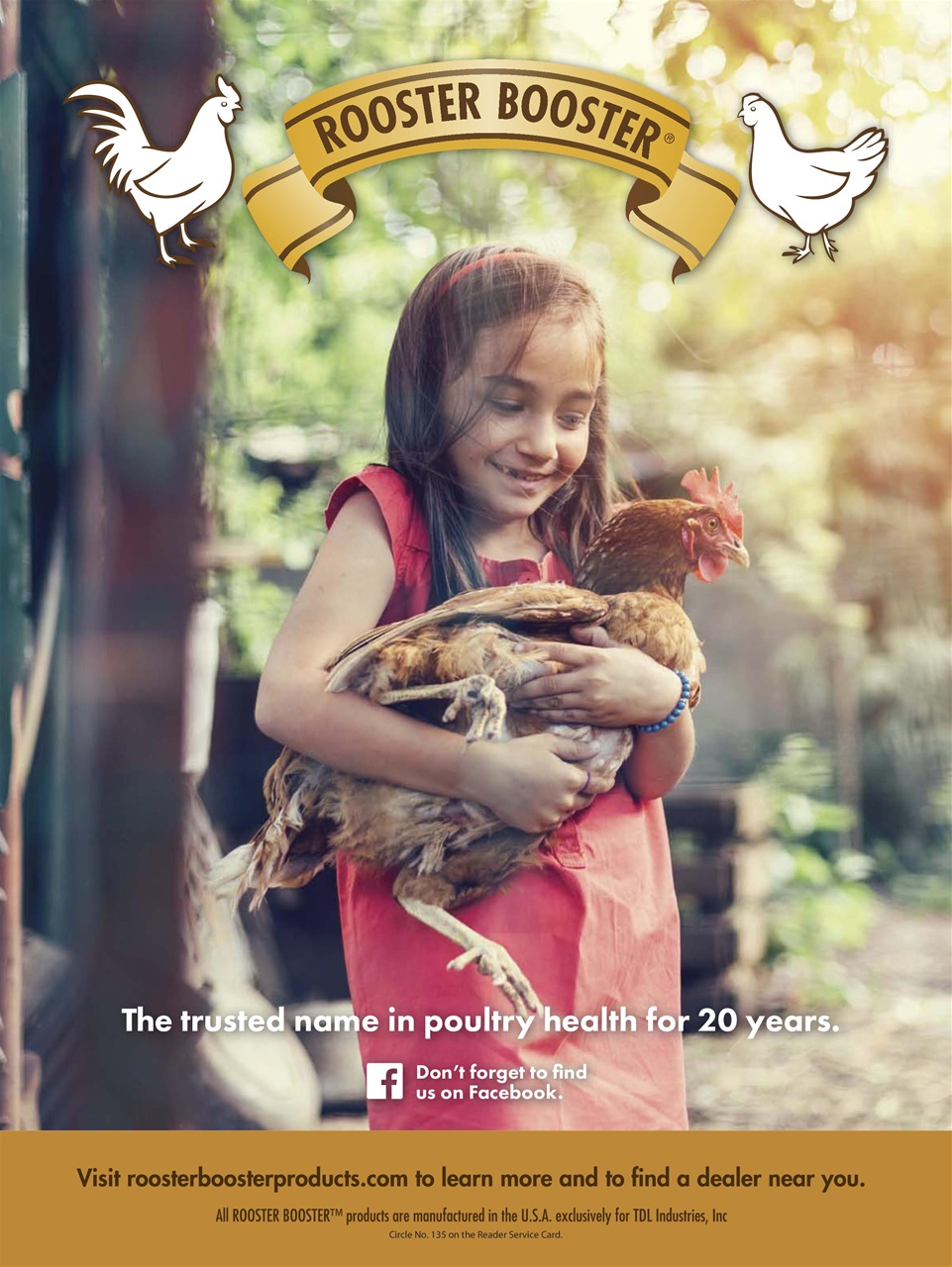 Chickens Magazine Preview Pages