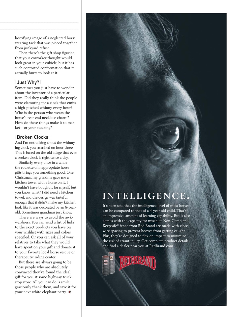 Horse Illustrated Magazine Preview Pages