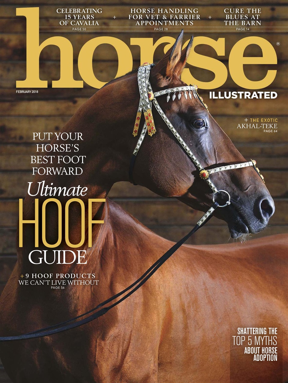 Horse Illustrated Magazine Preview Pages