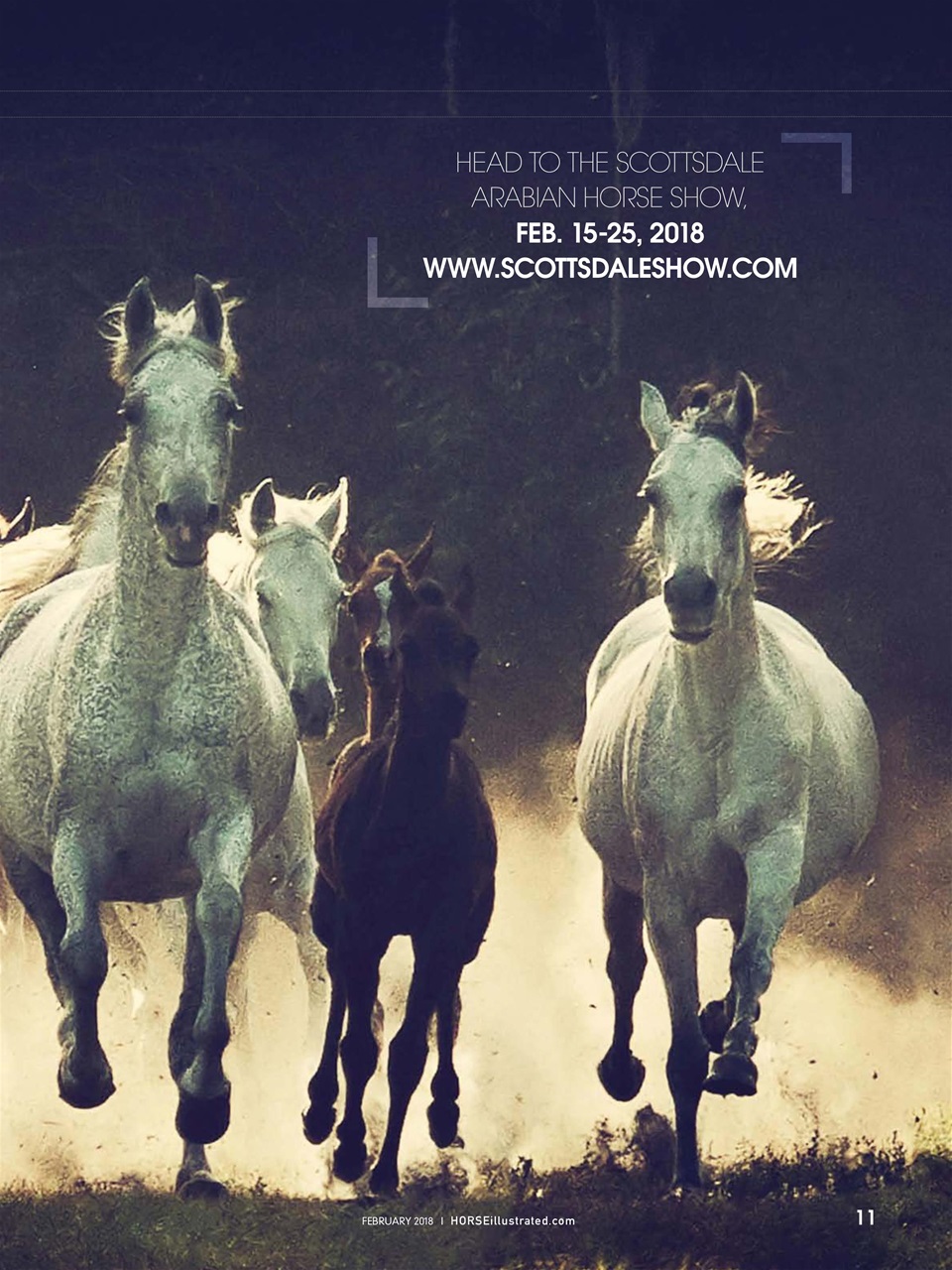 Horse Illustrated Magazine Preview Pages