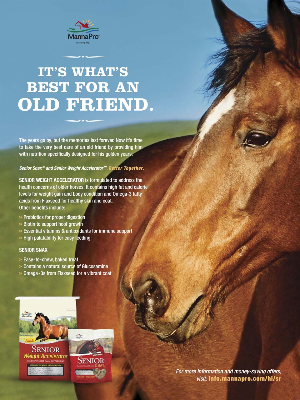 Horse Illustrated Magazine Preview Pages