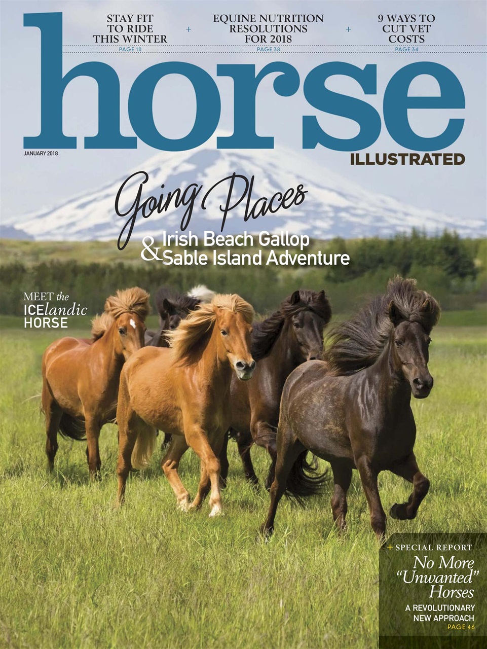 Horse Illustrated Magazine Preview Pages